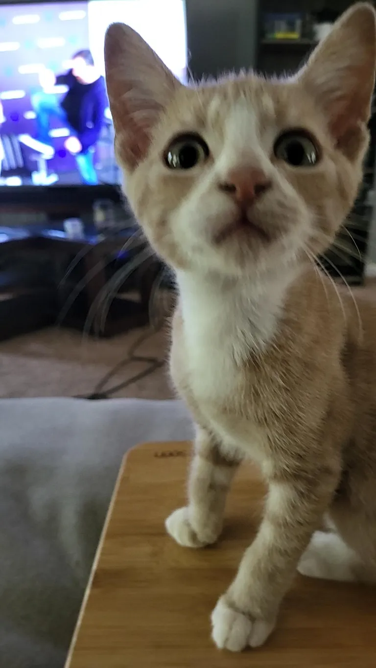 My wife called Butters ugly