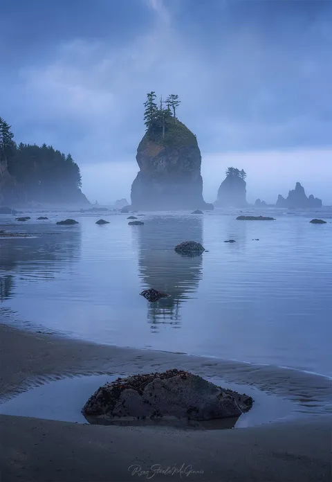 Moody Morning in Olympic National Park, Washington [OC][1241x1800]