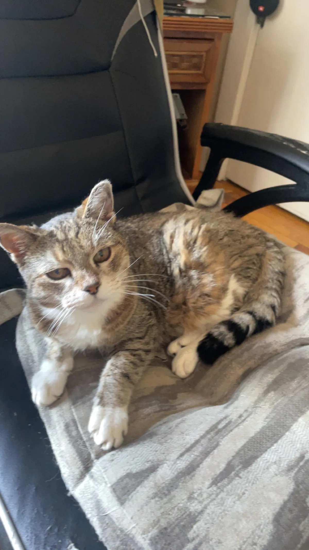 My girl of 24 years was hit my a car. I pulled in and saw her in the road. I am broken. Please help. I feel so empty 