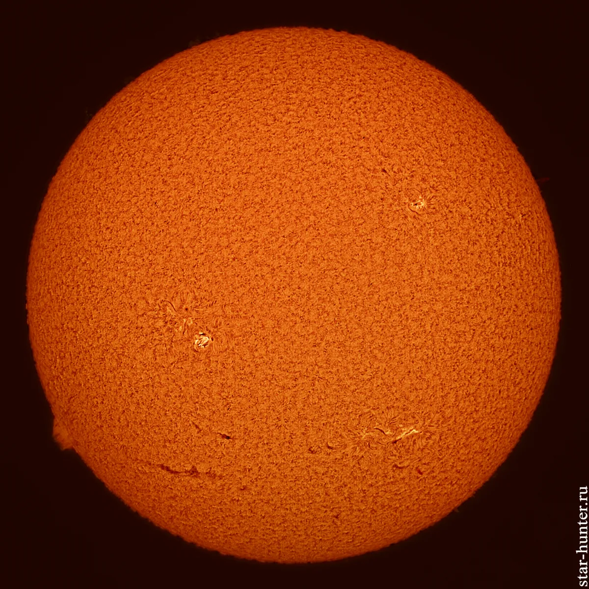 The Sun, April 24, 2021, 12:19 (UTC +3)