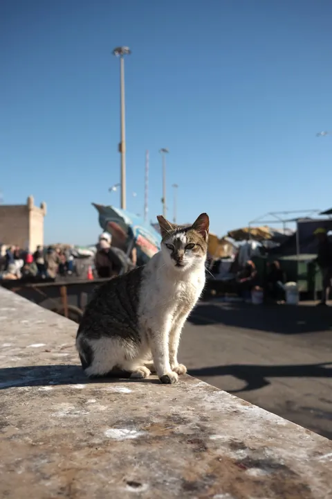 Some photos from my trip to Morocco!