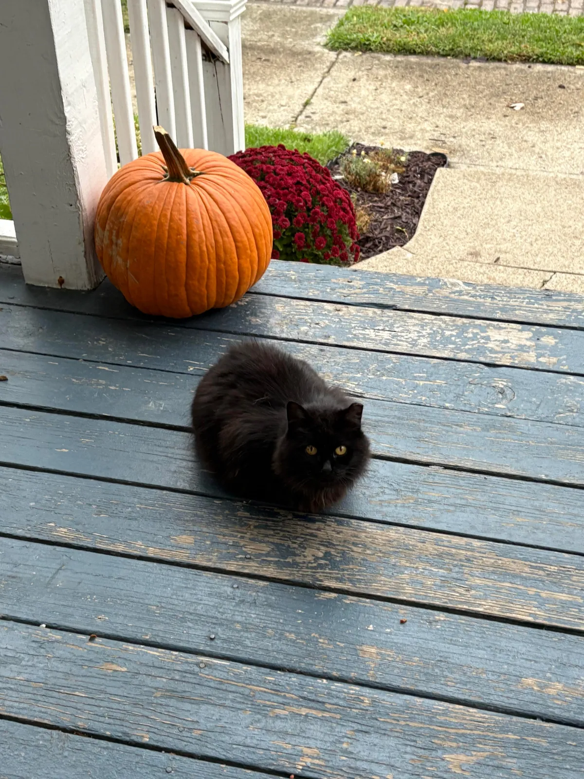 I believe I have been chosen🖤