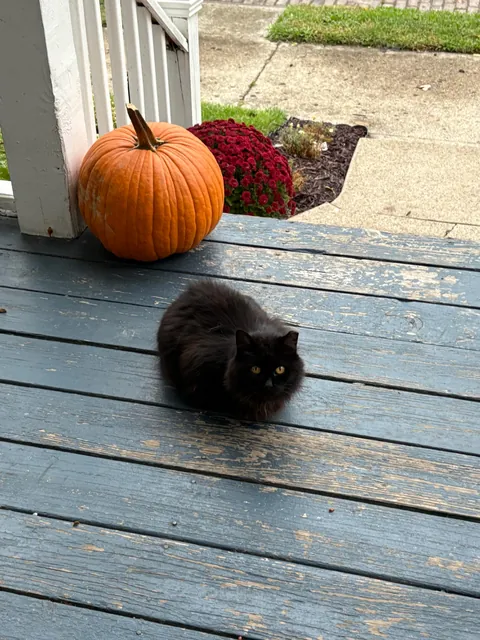 I believe I have been chosen🖤