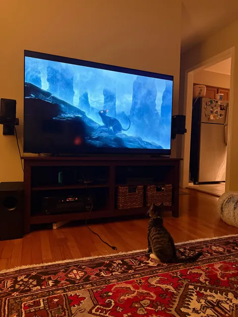 This is my little boy, Nanaki