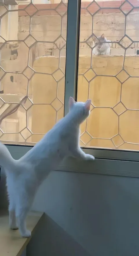 She's in love with a criminal.😛❤️