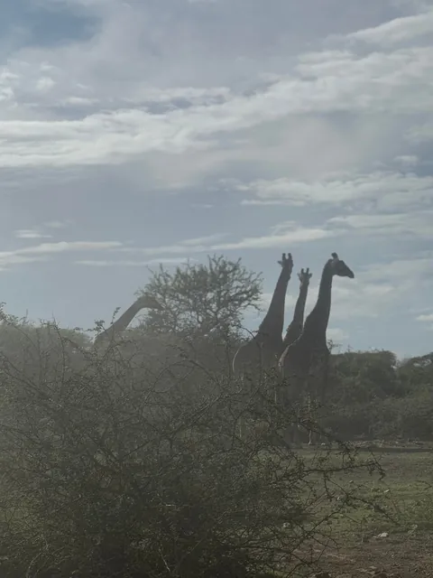 2 weeks of a dream in Tanzania