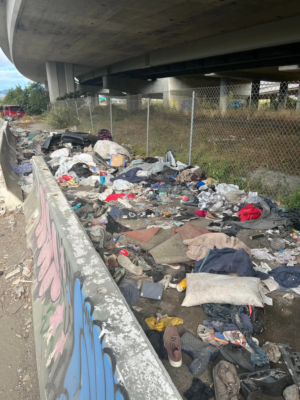 As a sole volunteer, I work in my free time to help remove illegal dumping across the San Francisco Bay Area