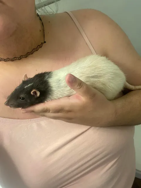 Accidentally ordered extra large 😂