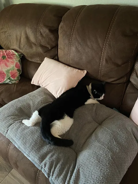 Compilation of my boi  being flat &lt;3