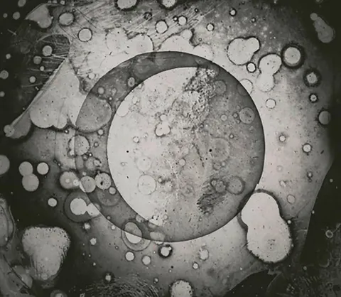 A cell? No, this is the oldest surviving photo of the Moon