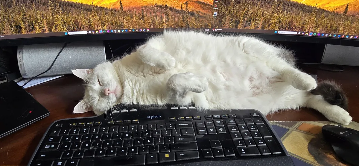 Every day he does this.