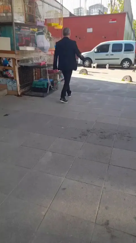 This man breaking up a cat fight in Istanbul 