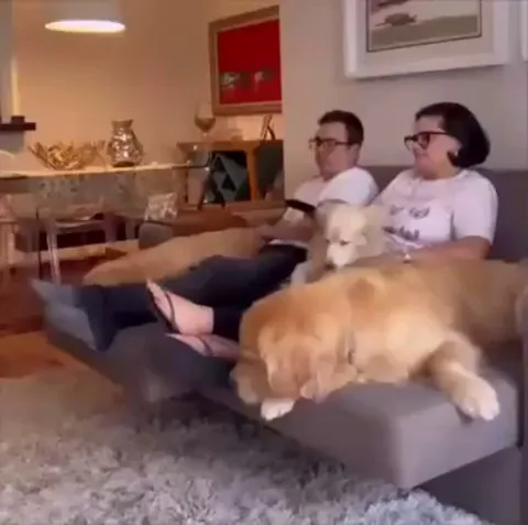 Guess who makes their food