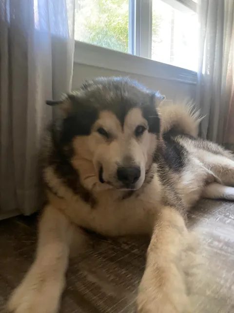 When you wake up from a nap and don’t even know what year it is…