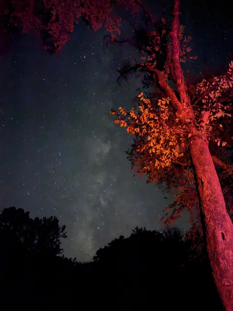 First time I’ve truly photographed the Milky Way