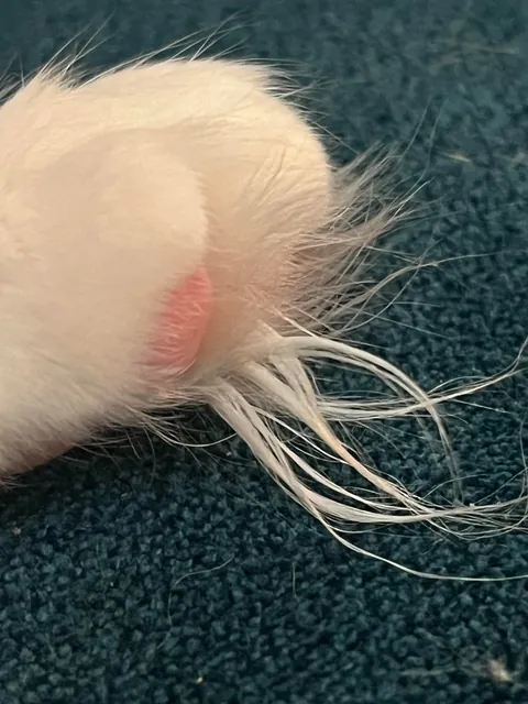 Does anyone else find her downright adorable?