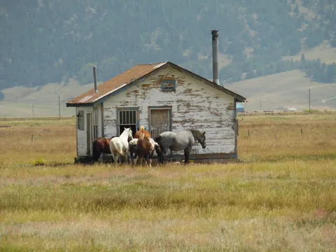 I've heard of a one horse town but this looks like the horses turned the table. Spotted in Colorado