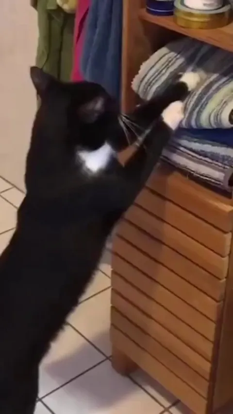 The perfect nap spot.