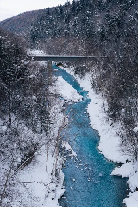 Winter in Hokkaido ❄️🎌