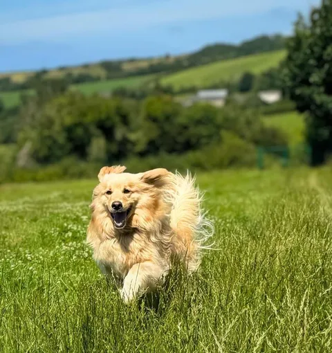 Dugg living his best life. So glorious. So wow.