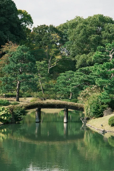 Our First 4 Days in Tokyo 🇯🇵