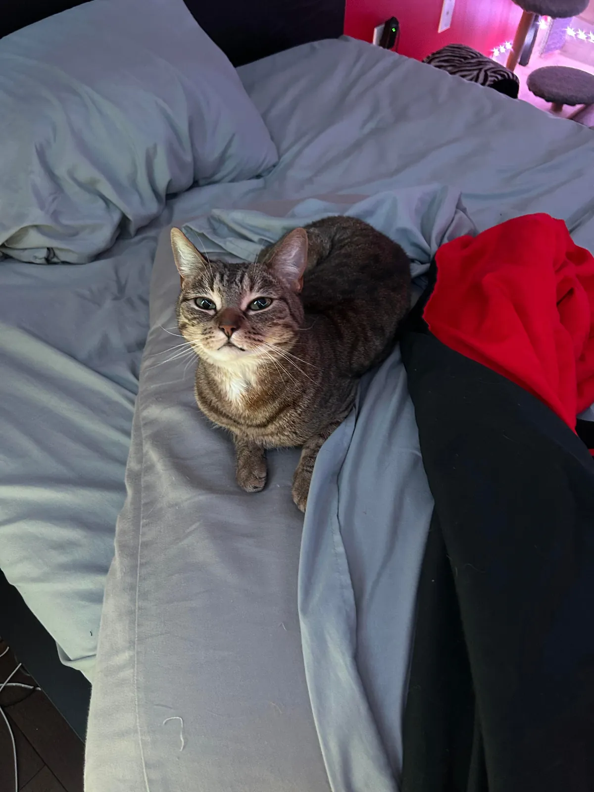 Way too smart I’m scared