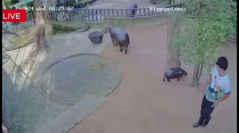 New parent might find this relatable. 