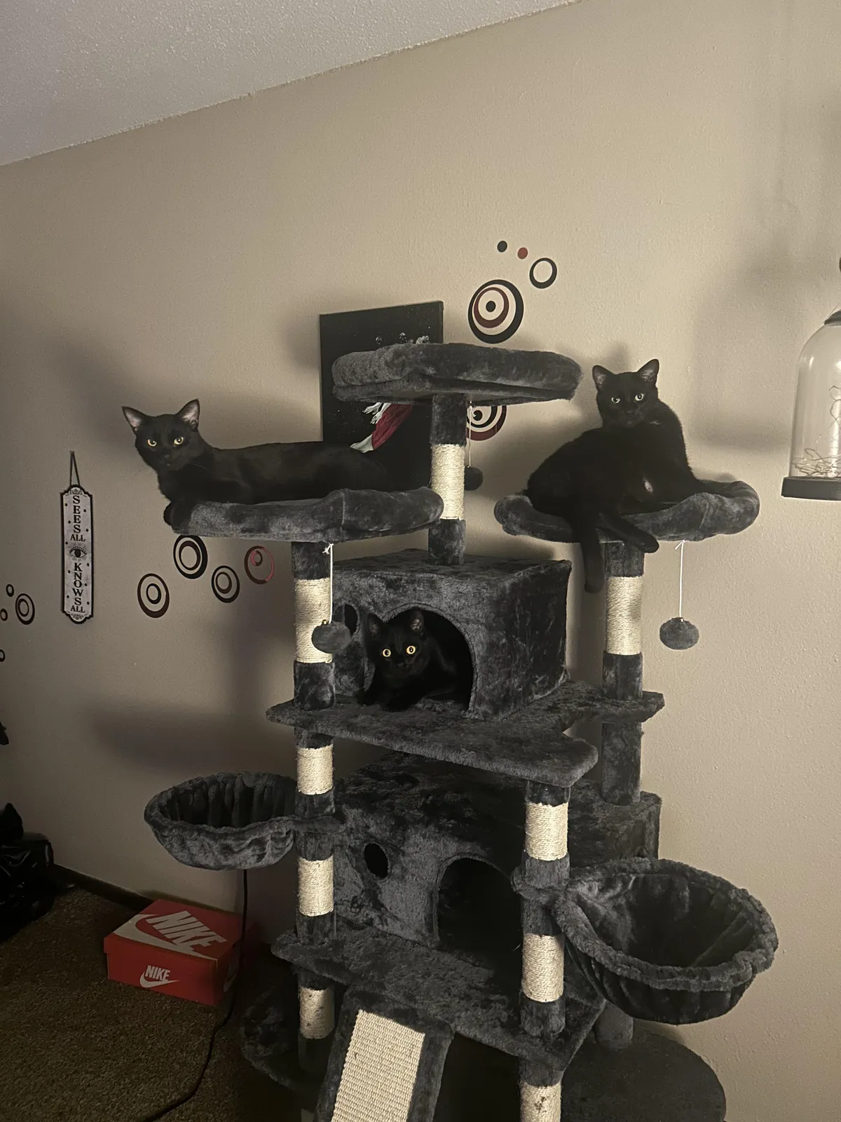 Yes, I live with three black guys so…