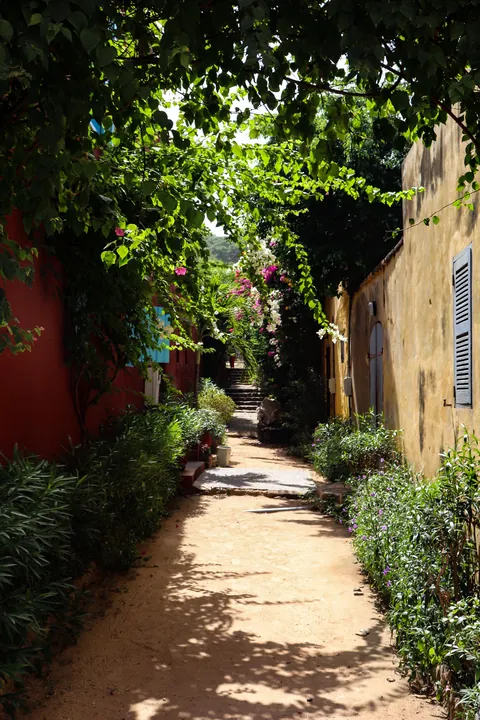 My guesthouse on Gorèe Island, Senegal 🇸🇳