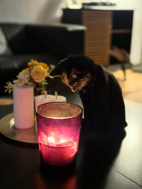 My void is 1! 🥳🥳