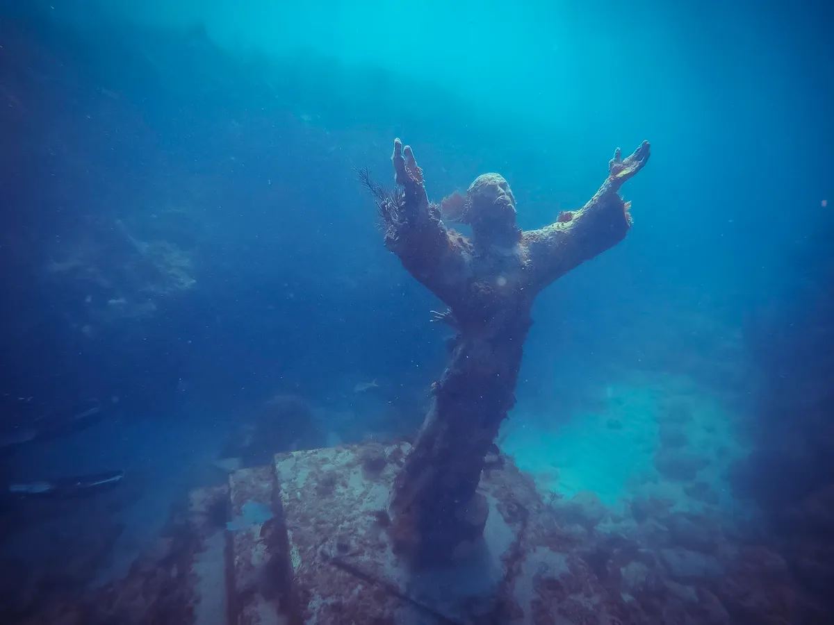 Snorkeled Near Jesus Off Of Key West On A quick Day Trip, Tough Pic To Capture But I Think I Got Lucky