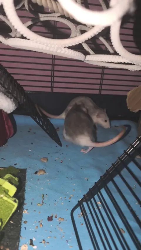 What i am witnessing