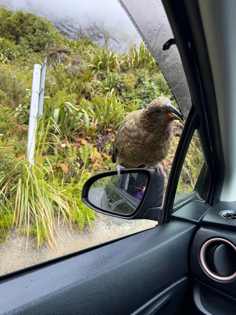 2 weeks trip in New Zealand