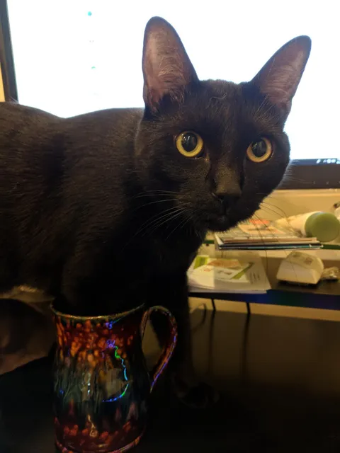I guess I'm done with my coffee then..