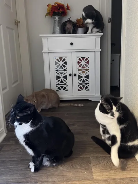 When a door is closed, we wait