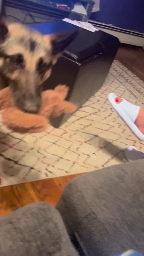 I dont think she liked my trade option 😭