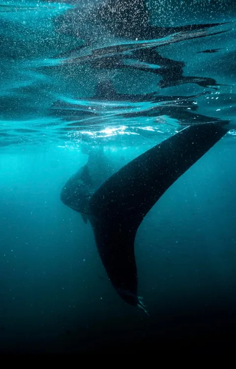 Underwater is just space with better lighting.