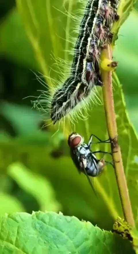 WTF just happened here 😦