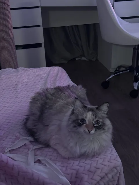 Left for a day and when I got back and saw her I almost cried 😭