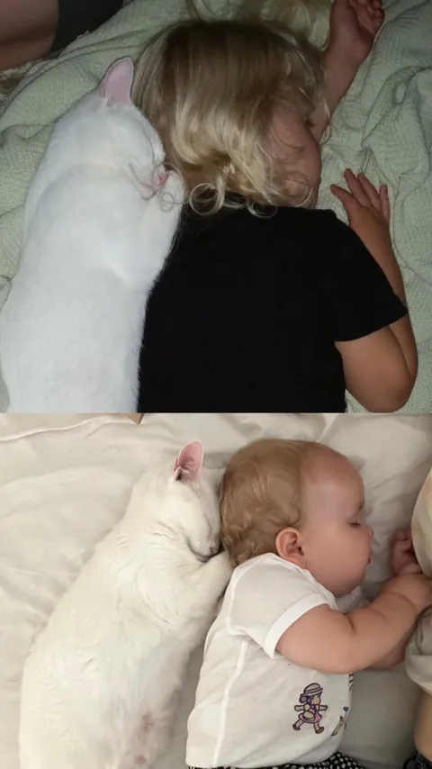Same cat, second baby ten years later