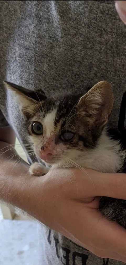 Before Love and After Love