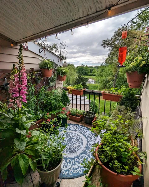 My Apartment Balcony- Year 3 (All Four Seasons 2024)