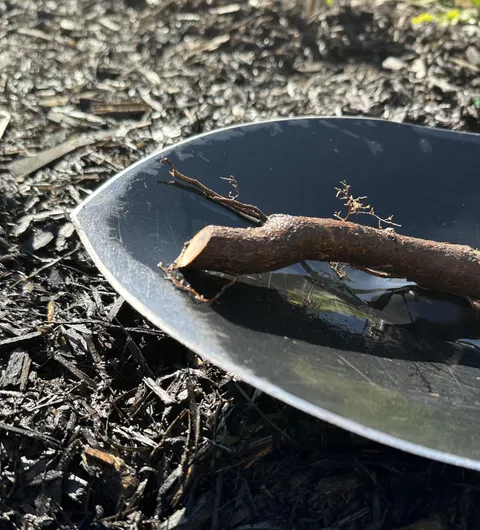 PSA: Stop cursing your soil and start sharpening your shovel!