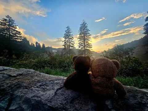My wife and I took our childhood teddy bears on vacation to North Carolina with us.