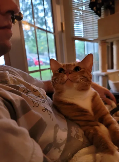 the way my cat looks at my boyfriend