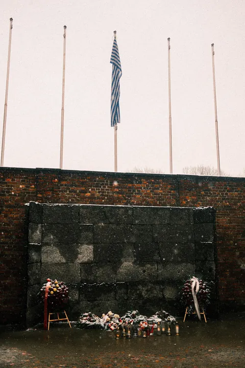 Auschwitz-Birkenau: Nazi German Concentration &amp; Extermination Camp (Poland)