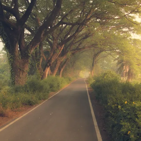 ITAP of village road at morning 