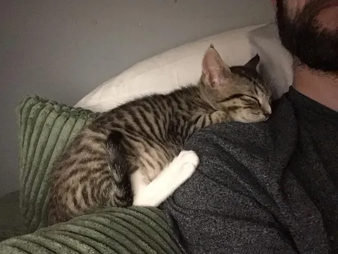 She’s only known me for 2 hours, my heart is full 😸