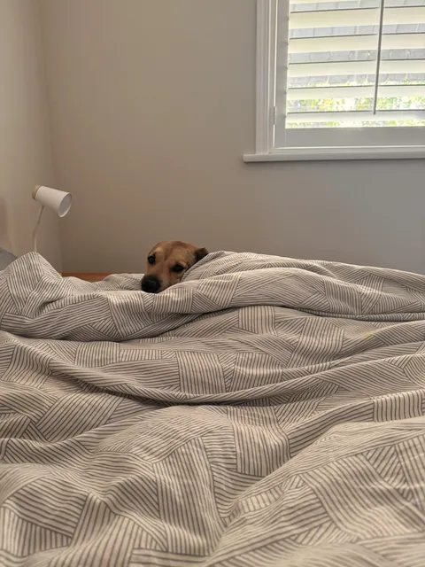 She didn’t want to get out of bed today…