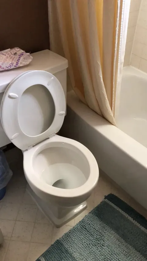 (Wait for it!) Every spring and fall their toilet gets illuminated by the sunshine coming through a perfectly placed window. We finally caught a Timelapse video to document the bowlstice.